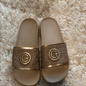 Guess slides